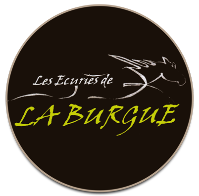 Les Ecuries de la Burgue - Gaillac