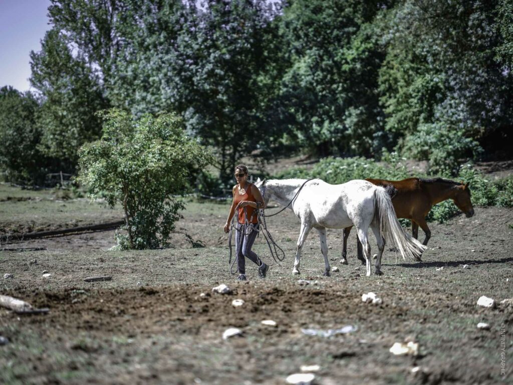 projet pédagogique