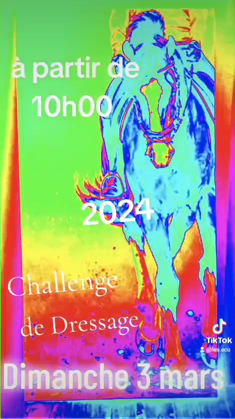 challenge de dressage