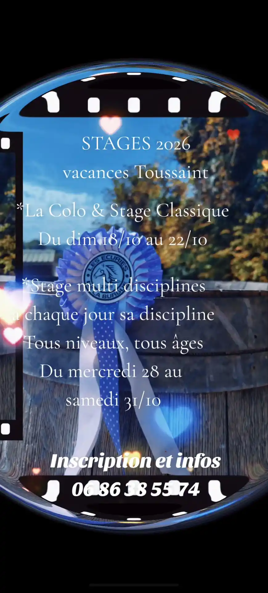 stage toussaint 2026 Ecuries de la Burgue
